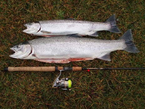 Hoko River, Northwest Fishing Board