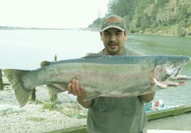 Big Quinault Steelhead, Northwest Fishing Board