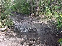 The valley of bottomless mud going into Cable Crossing ... after a little improvement.