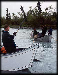 One coming out of the net, another in the works ... Kasilof River Salmon Fishing