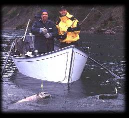 Doubleheader on the Hoh ... Forks, Washington salmon fishing guides. Fishing near Seattle. Seattle fishing guides