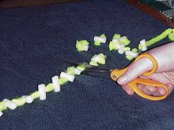 Cut the yarn between each piece of foam.